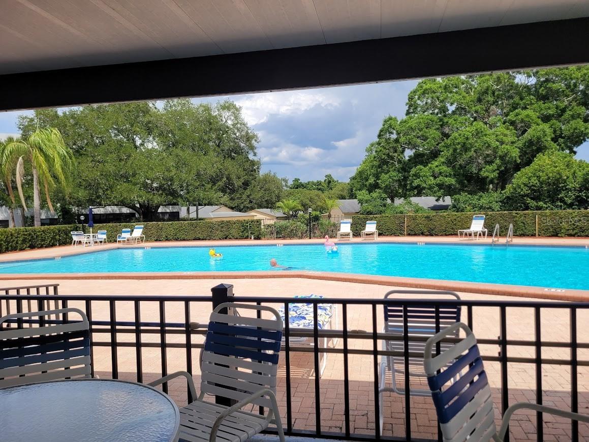 944 Madrid Drive Palm Harbor FL 34684 TB8500674 image15