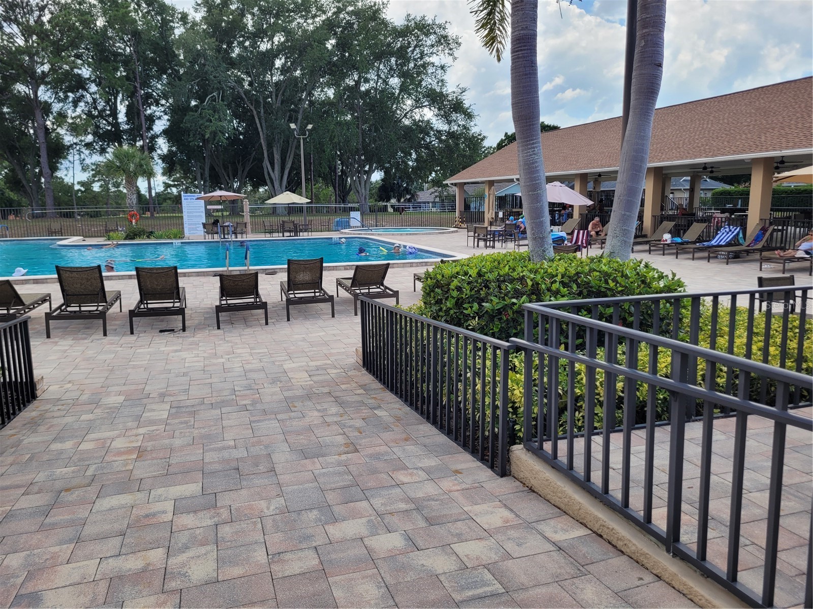 944 Madrid Drive Palm Harbor FL 34684 TB8500674 image17