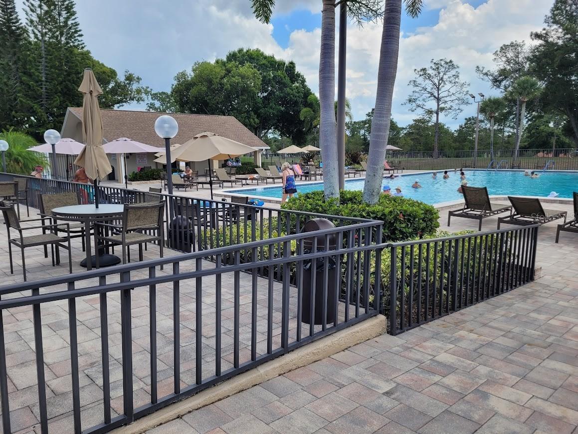 944 Madrid Drive Palm Harbor FL 34684 TB8500674 image18