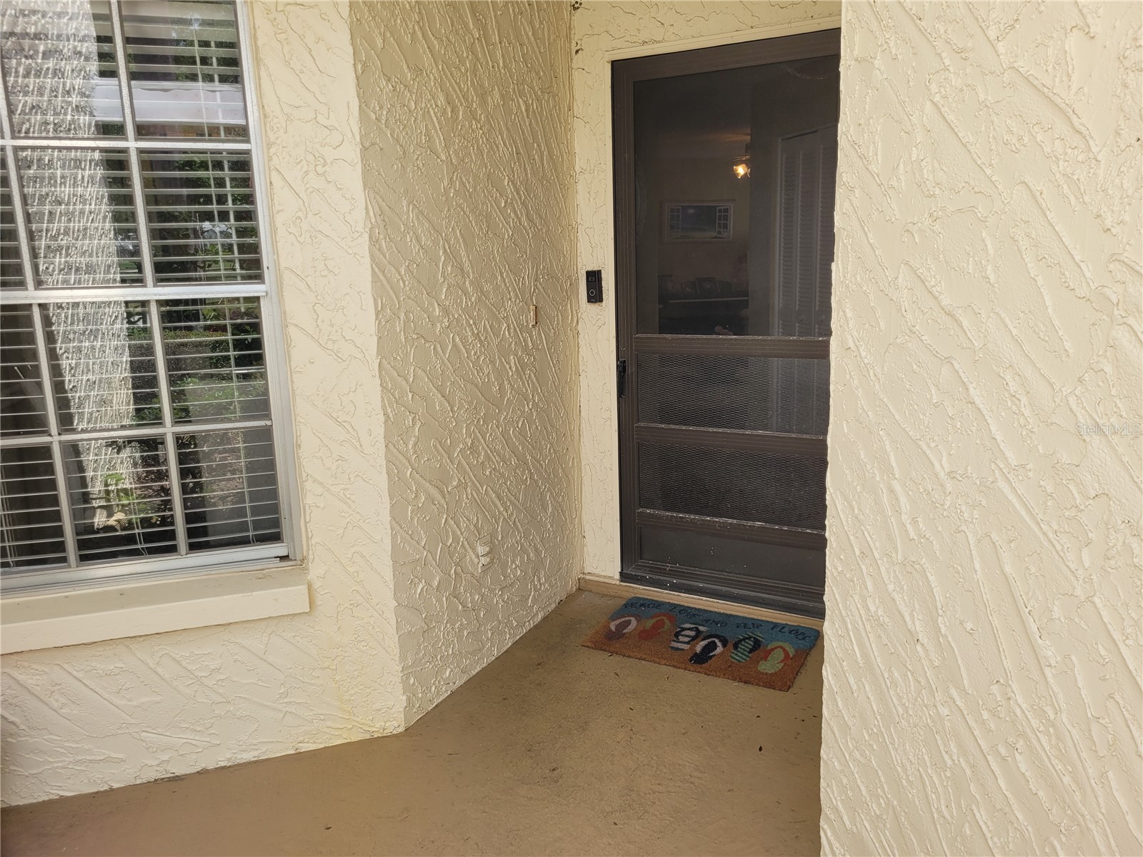 944 Madrid Drive Palm Harbor FL 34684 TB8500674 image2
