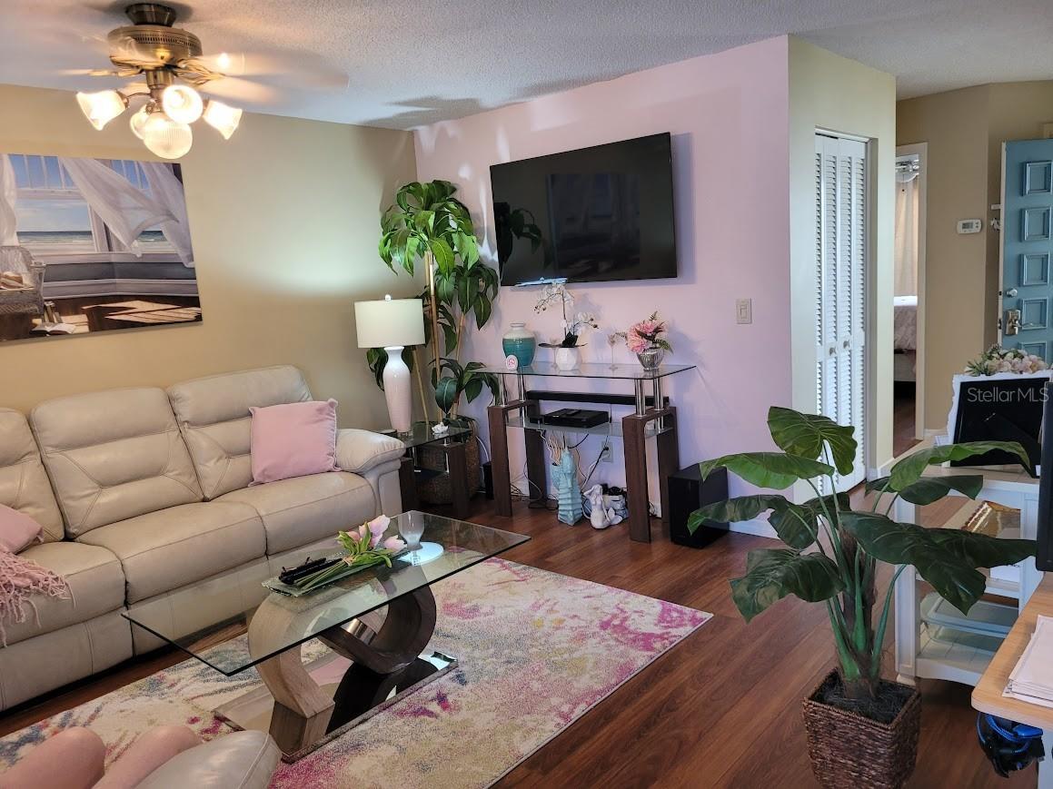 944 Madrid Drive Palm Harbor FL 34684 TB8500674 image5