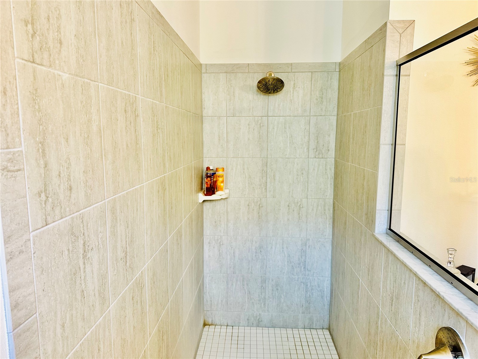 944 Old Windsor Way Spring Hill FL 34609 TB8508275 image16
