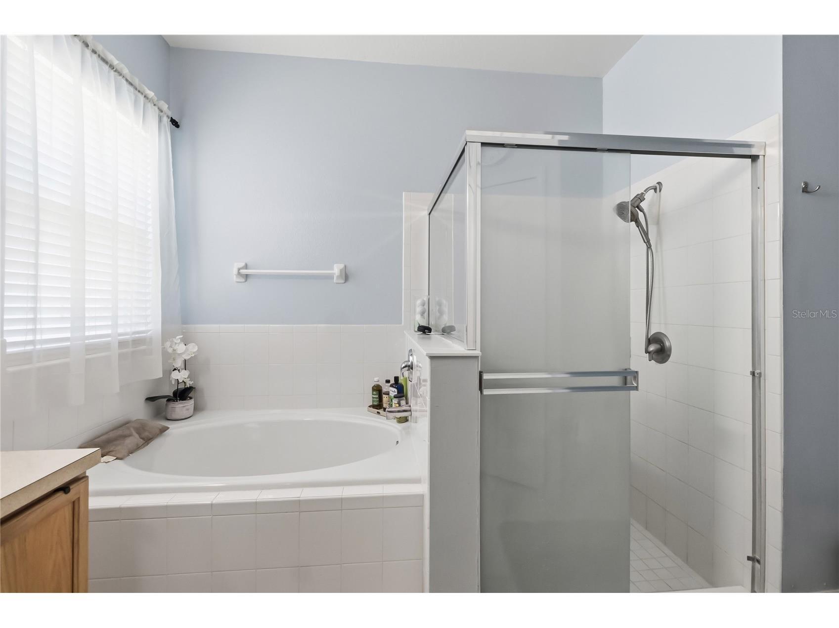 9440 Candice Court Orlando FL 32832 S5151513 image38