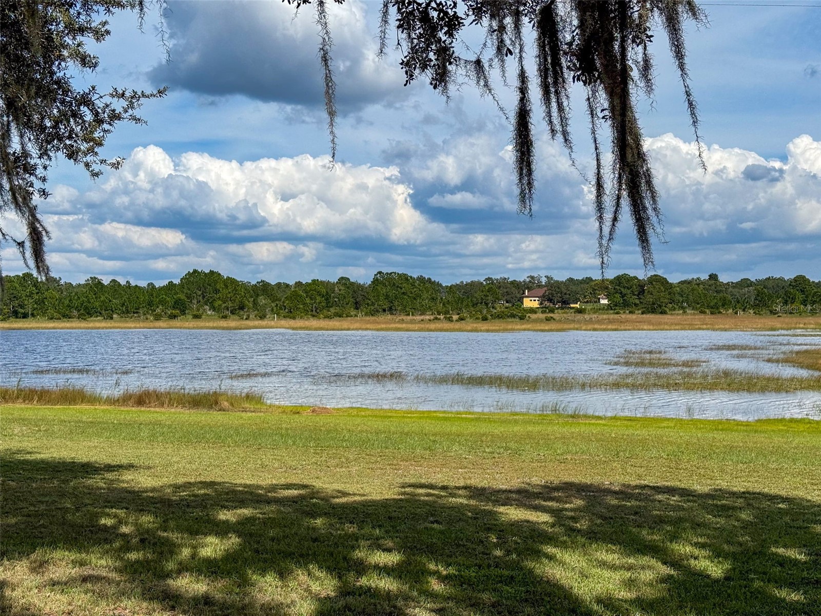 9440 Cougar Drive Weeki Wachee FL 34613 W7878960 image33