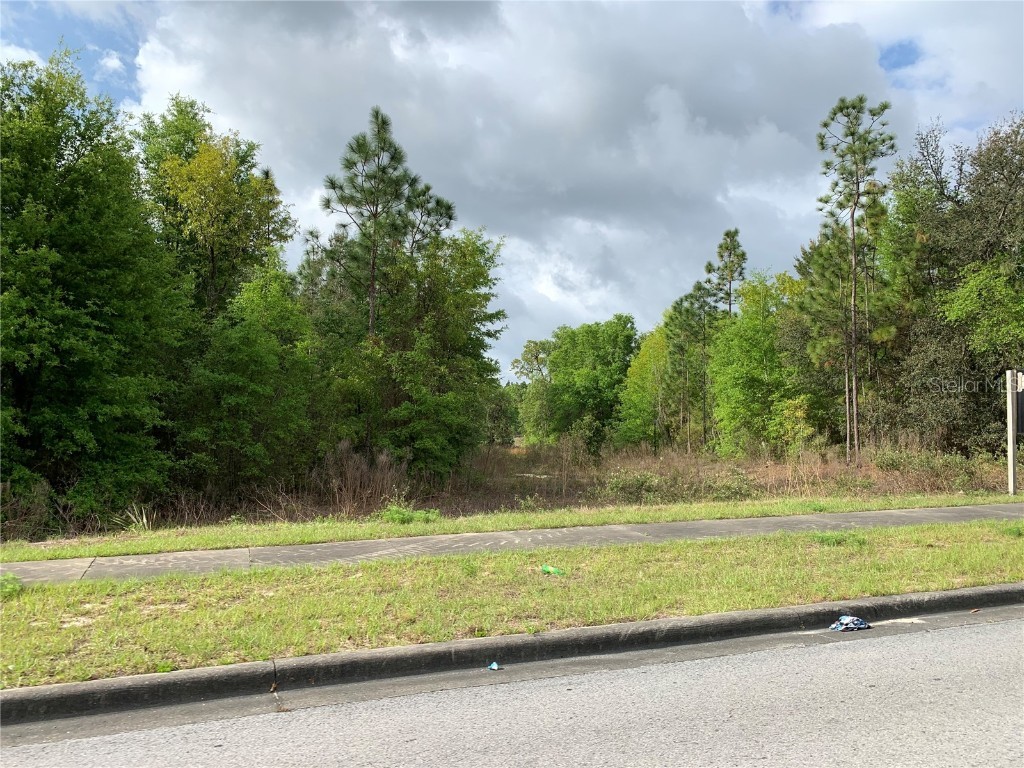 9440 SW 114th Street Ocala FL 34481 OM628474 image5