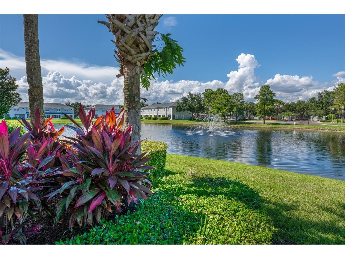 9441 Flowering Cottonwood Road #41 Orlando FL 32832 O6344202 image28