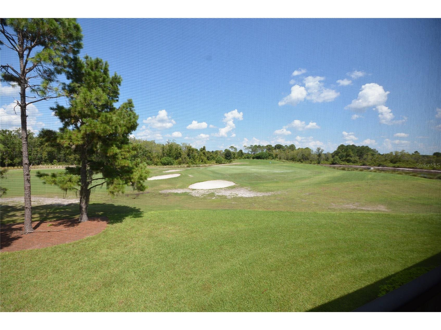 9441 Myrtle Creek Lane #215 Orlando FL 32832 O6414302 image7