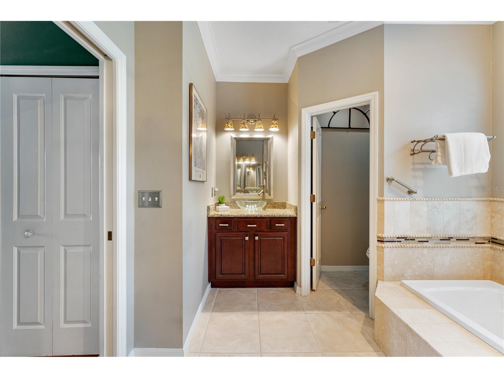 9442 Hunters Pond Drive Tampa FL 33647 TB8498825 image26