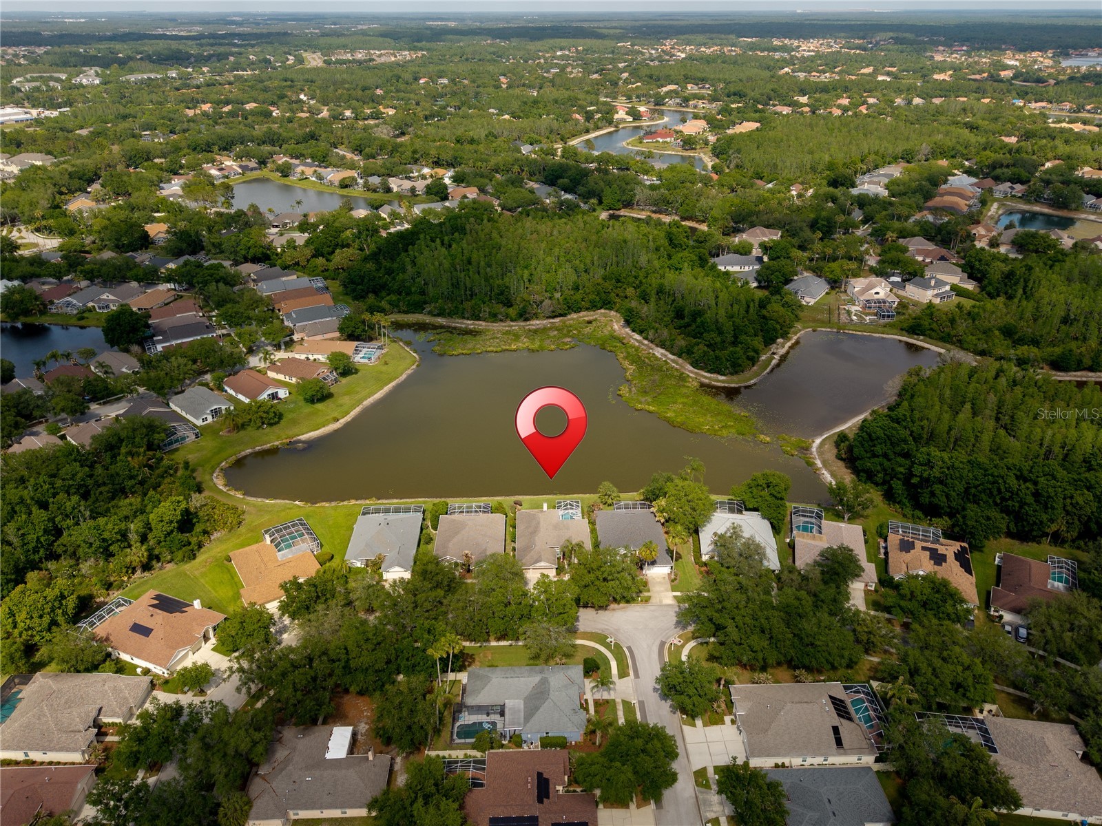 9442 Hunters Pond Drive Tampa FL 33647 TB8498825 image55