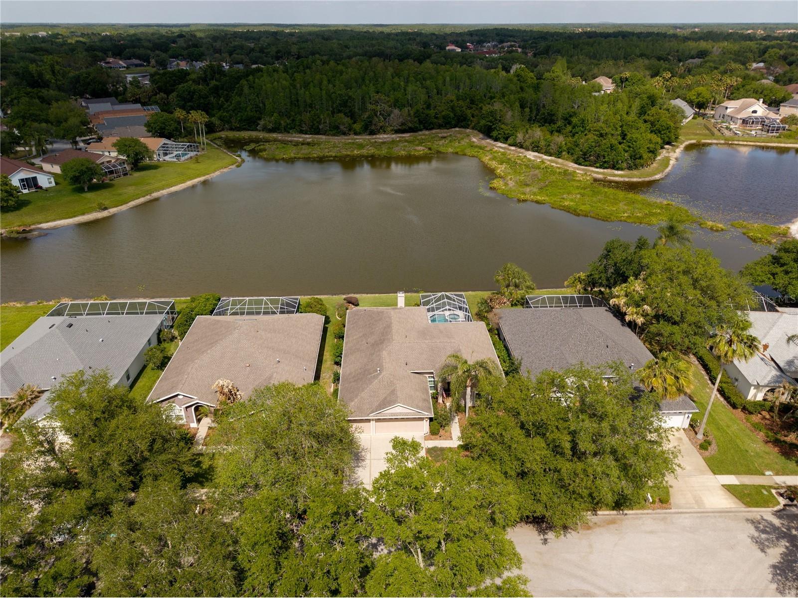 9442 Hunters Pond Drive Tampa FL 33647 TB8498825 image56