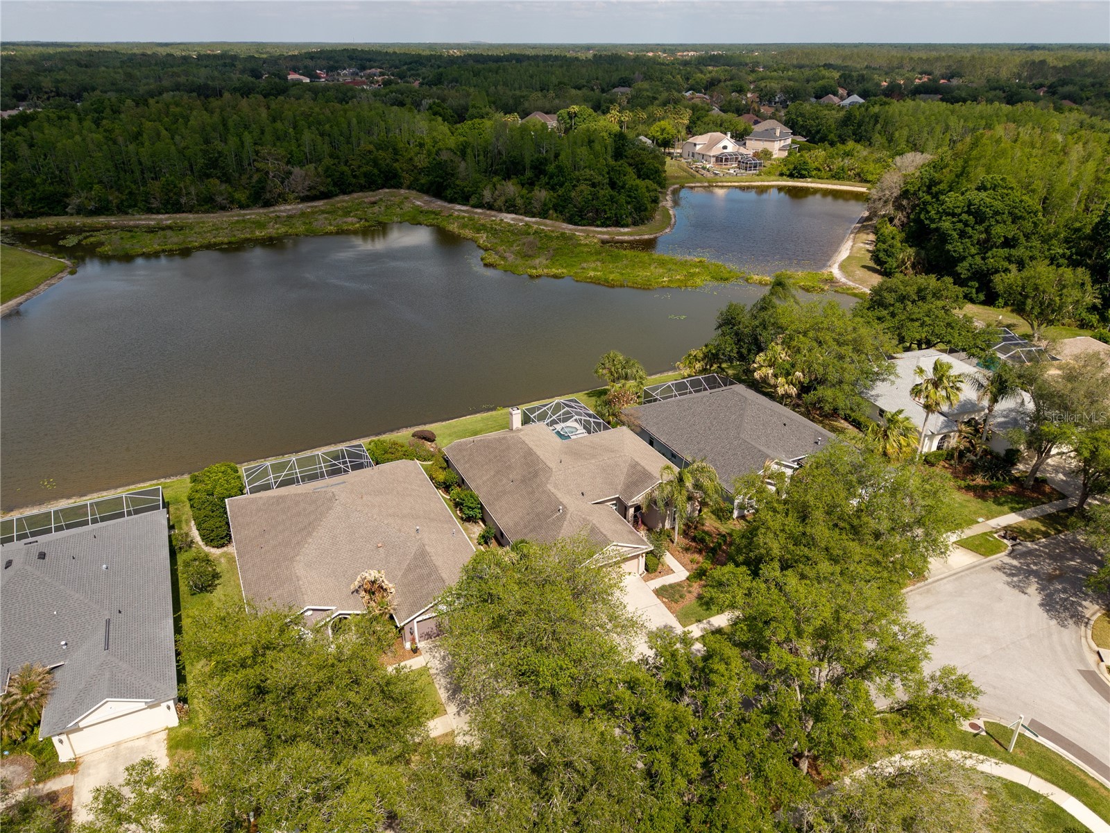 9442 Hunters Pond Drive Tampa FL 33647 TB8498825 image57