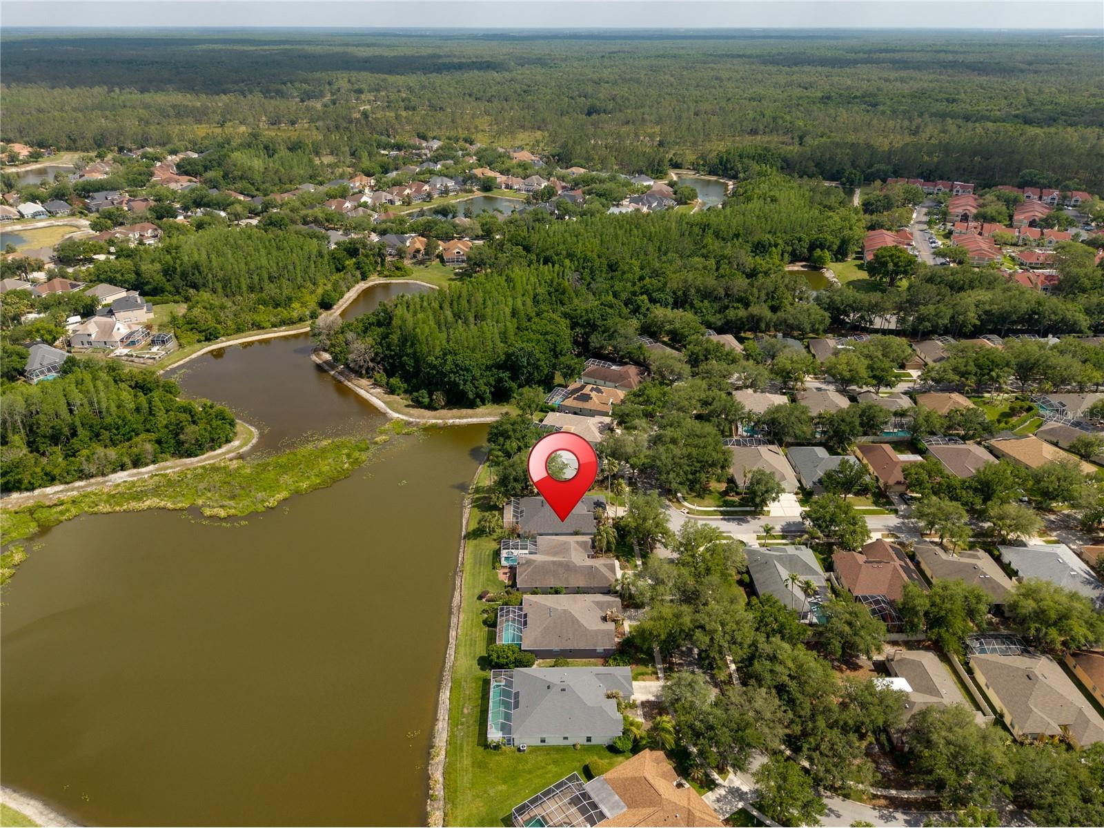 9442 Hunters Pond Drive Tampa FL 33647 TB8498825 image58