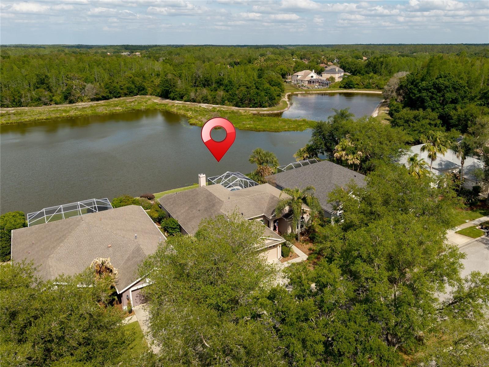 9442 Hunters Pond Drive Tampa FL 33647 TB8498825 image59