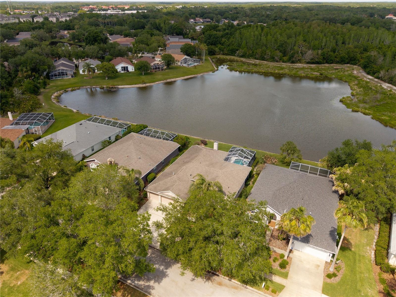 9442 Hunters Pond Drive Tampa FL 33647 TB8498825 image60