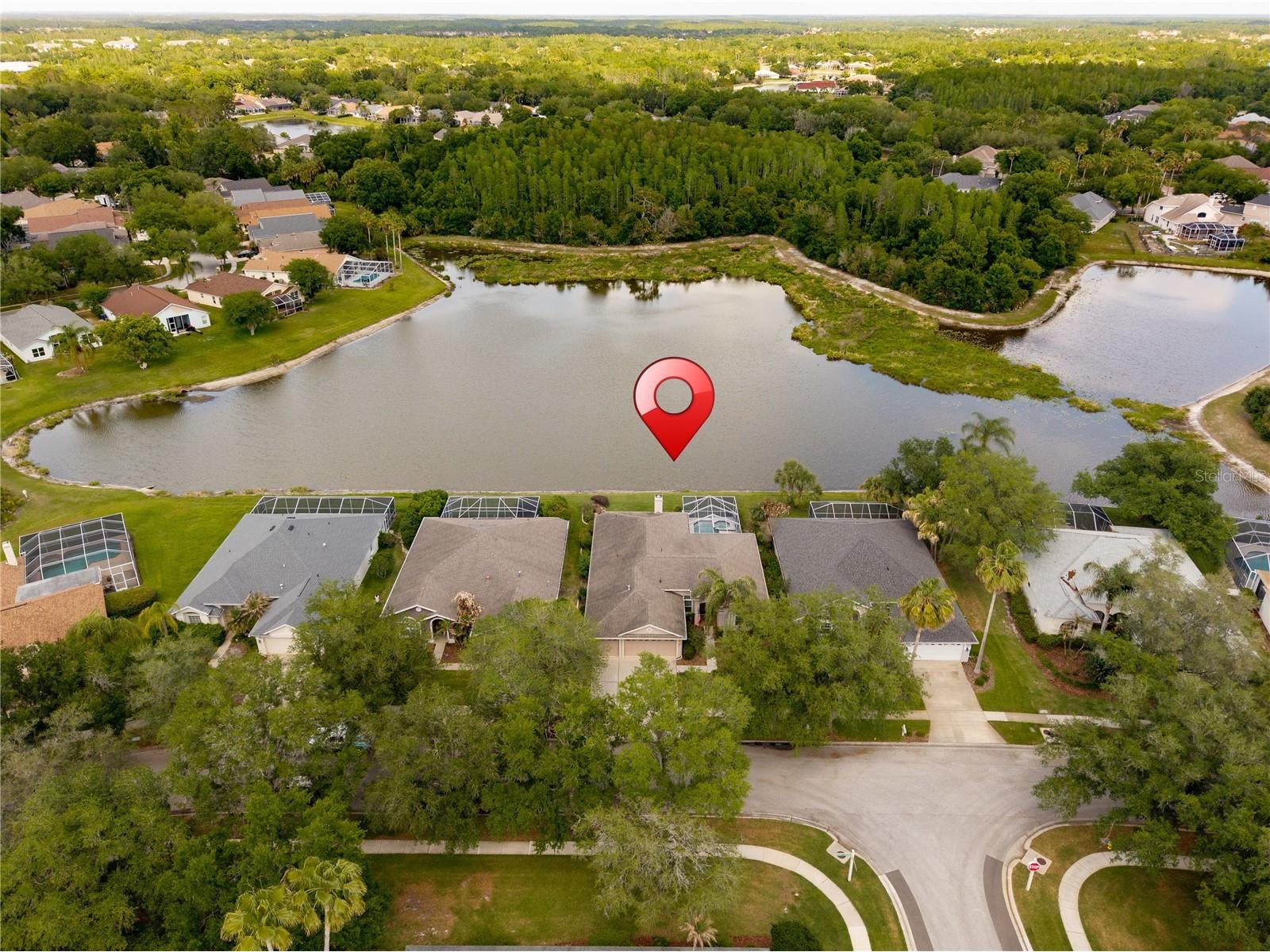 9442 Hunters Pond Drive Tampa FL 33647 TB8498825 image61