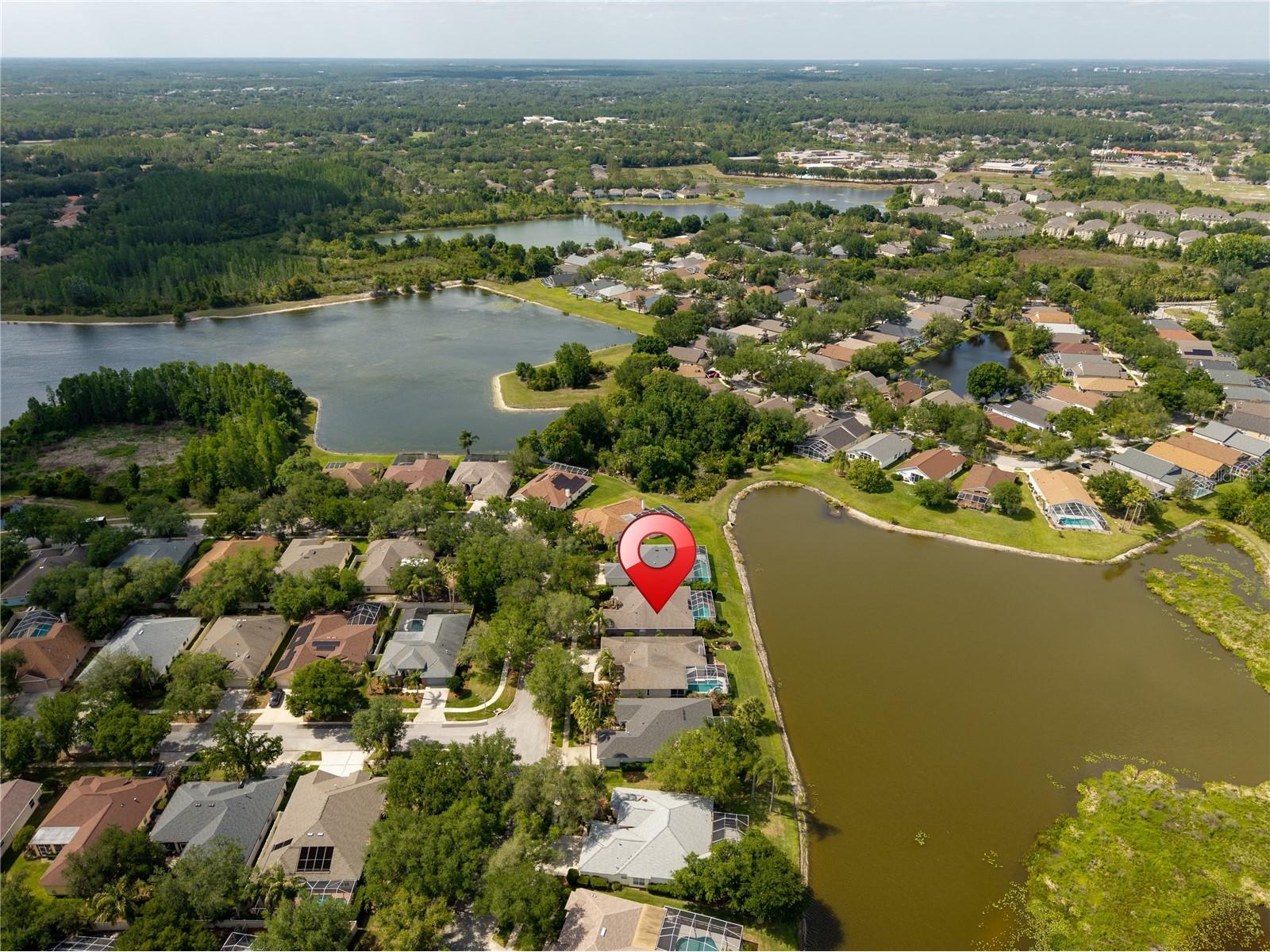 9442 Hunters Pond Drive Tampa FL 33647 TB8498825 image62