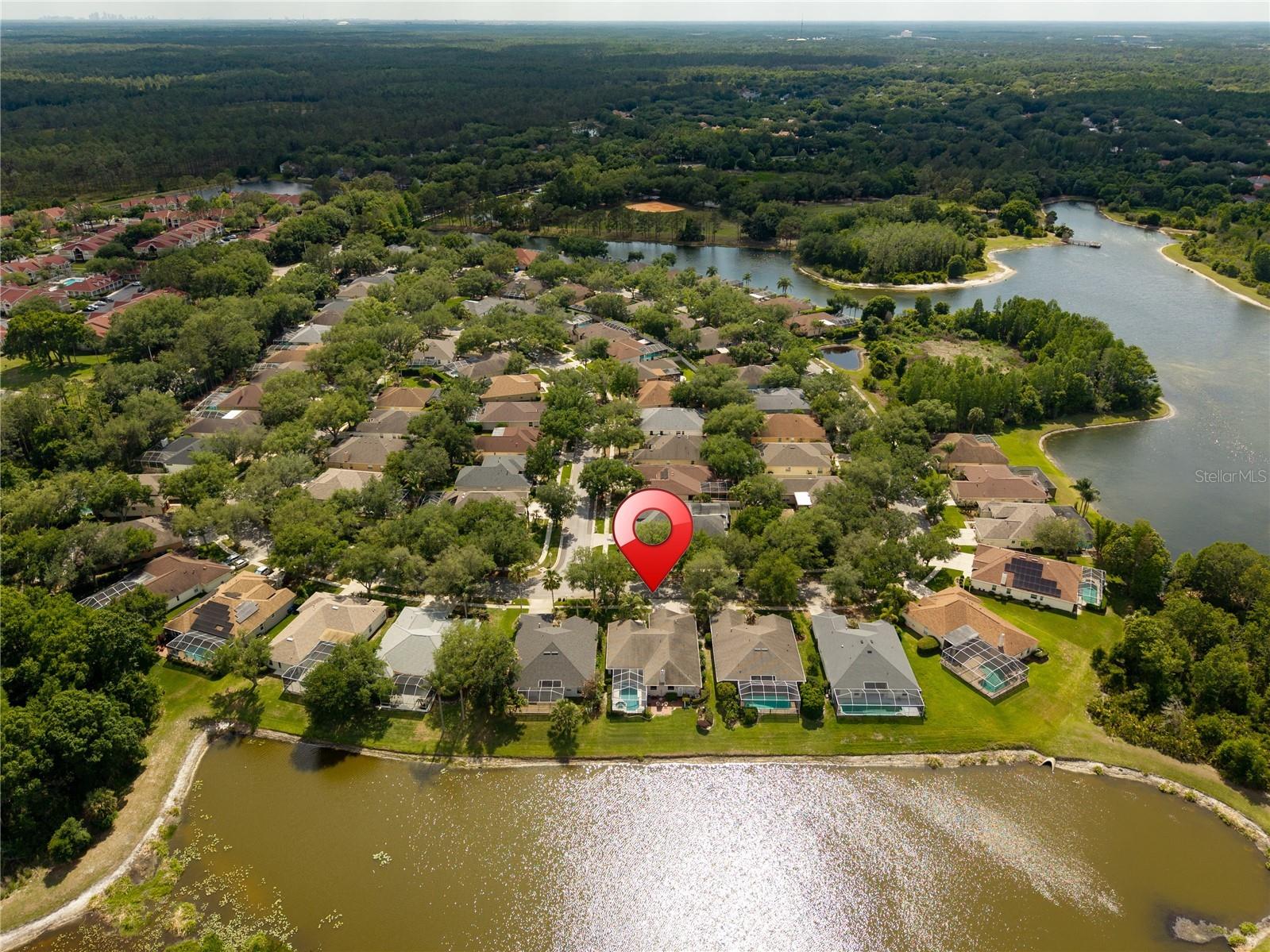 9442 Hunters Pond Drive Tampa FL 33647 TB8498825 image63