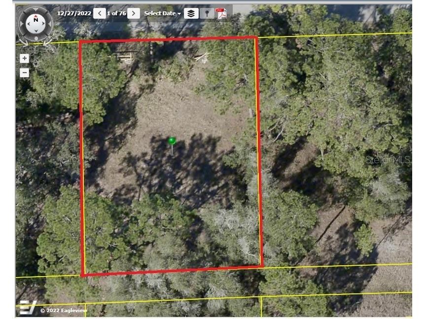 9442 Rousseau Street Webster FL 33597 O6144638 image1