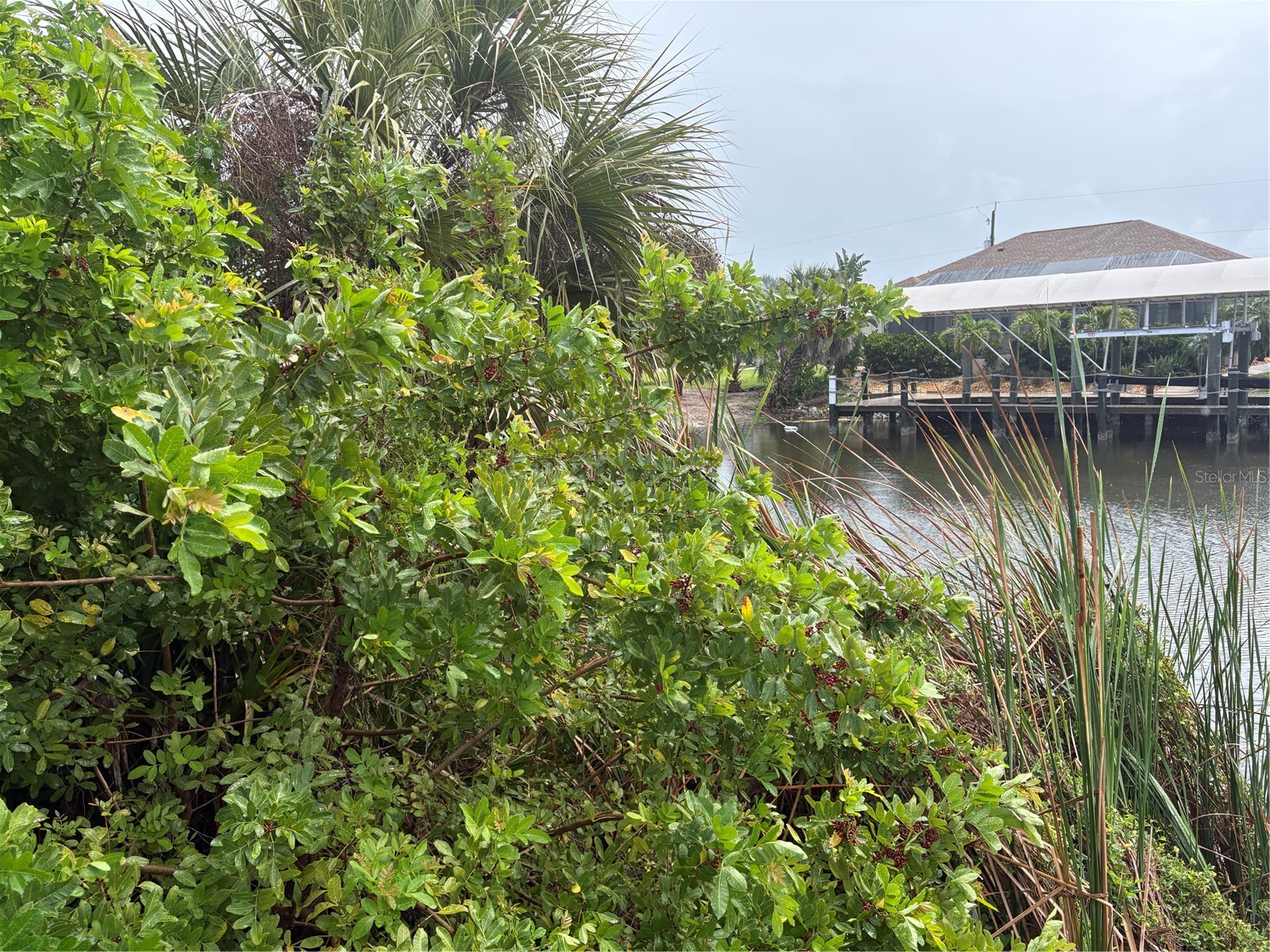 9444 Migue Circle Port Charlotte FL 33981 C7524402 image8