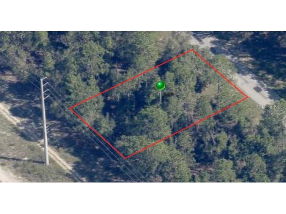 9444 N Cortlandt Drive Citrus Springs FL 34434 A4562916 image1