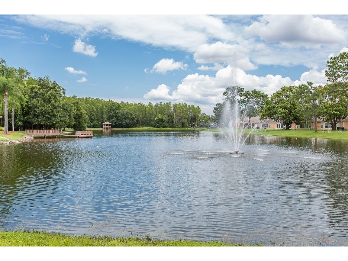 9444 Rockbridge Circle New Port Richey FL 34655 W7878391 image33