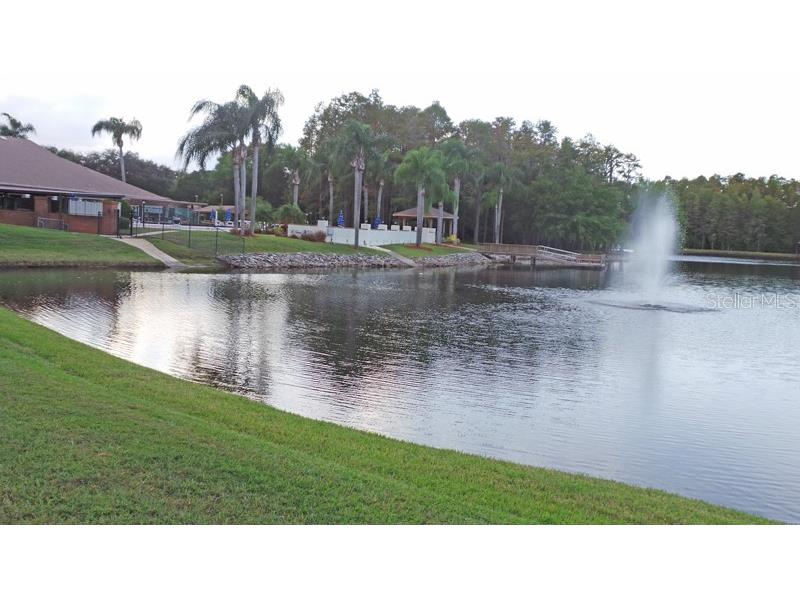 9444 Rockbridge Circle New Port Richey FL 34655 W7878391 image40