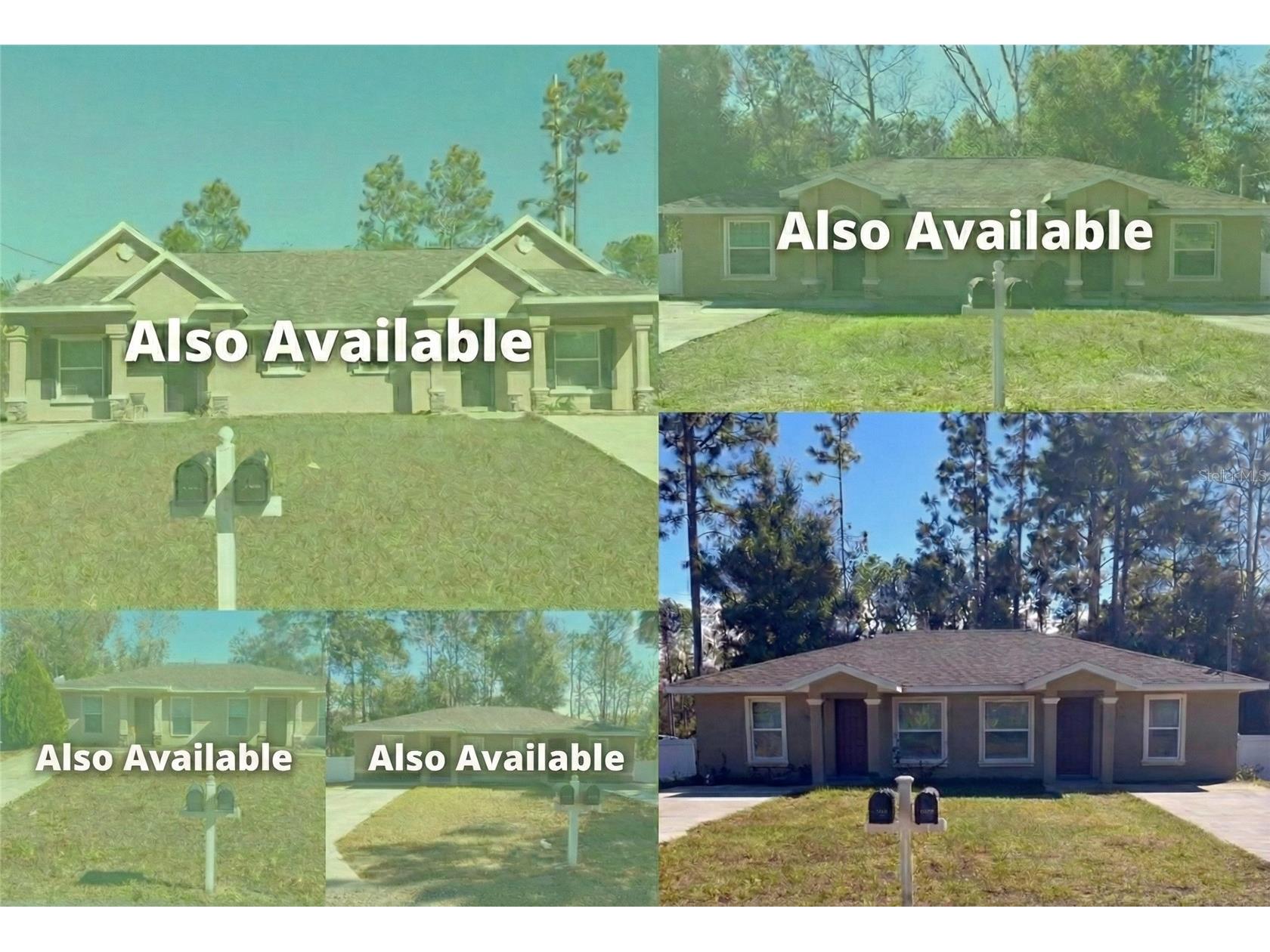 9445 N Manashee Drive Citrus Springs FL 34434 O6376760 image2