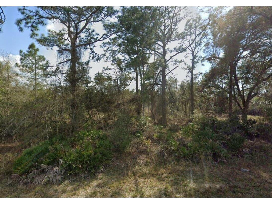 9446 Rousseau St Webster FL 33597 GC520100 image1