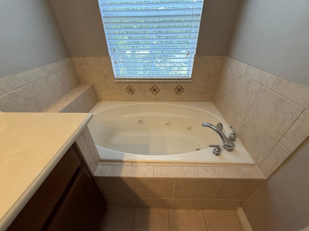 9446 Silver Buttonwood Street Orlando FL 32832 O6346181 image13