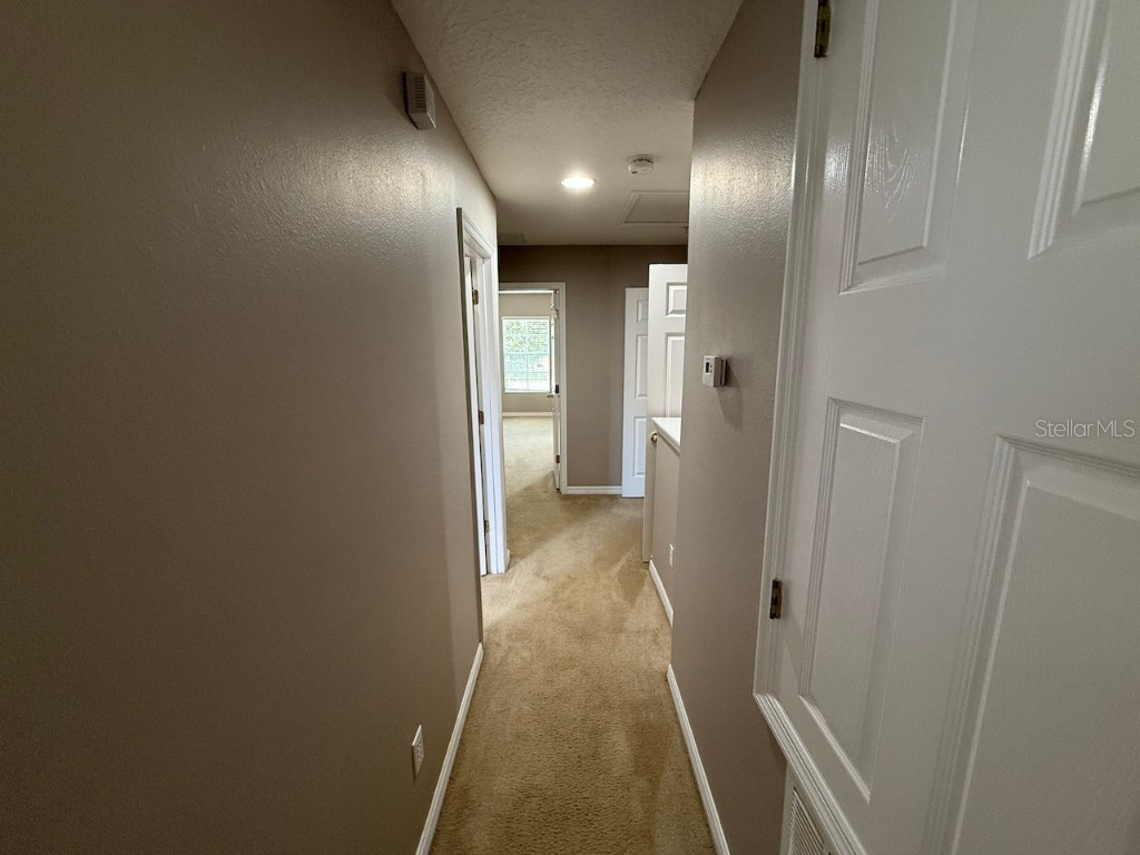 9446 Silver Buttonwood Street Orlando FL 32832 O6346181 image20