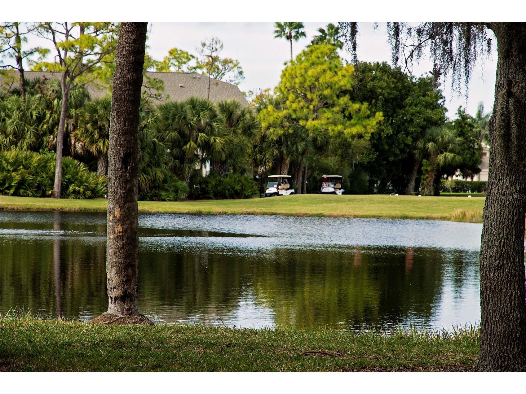 9448 Forest Hills Circle Sarasota FL 34238 TB8484374 image55