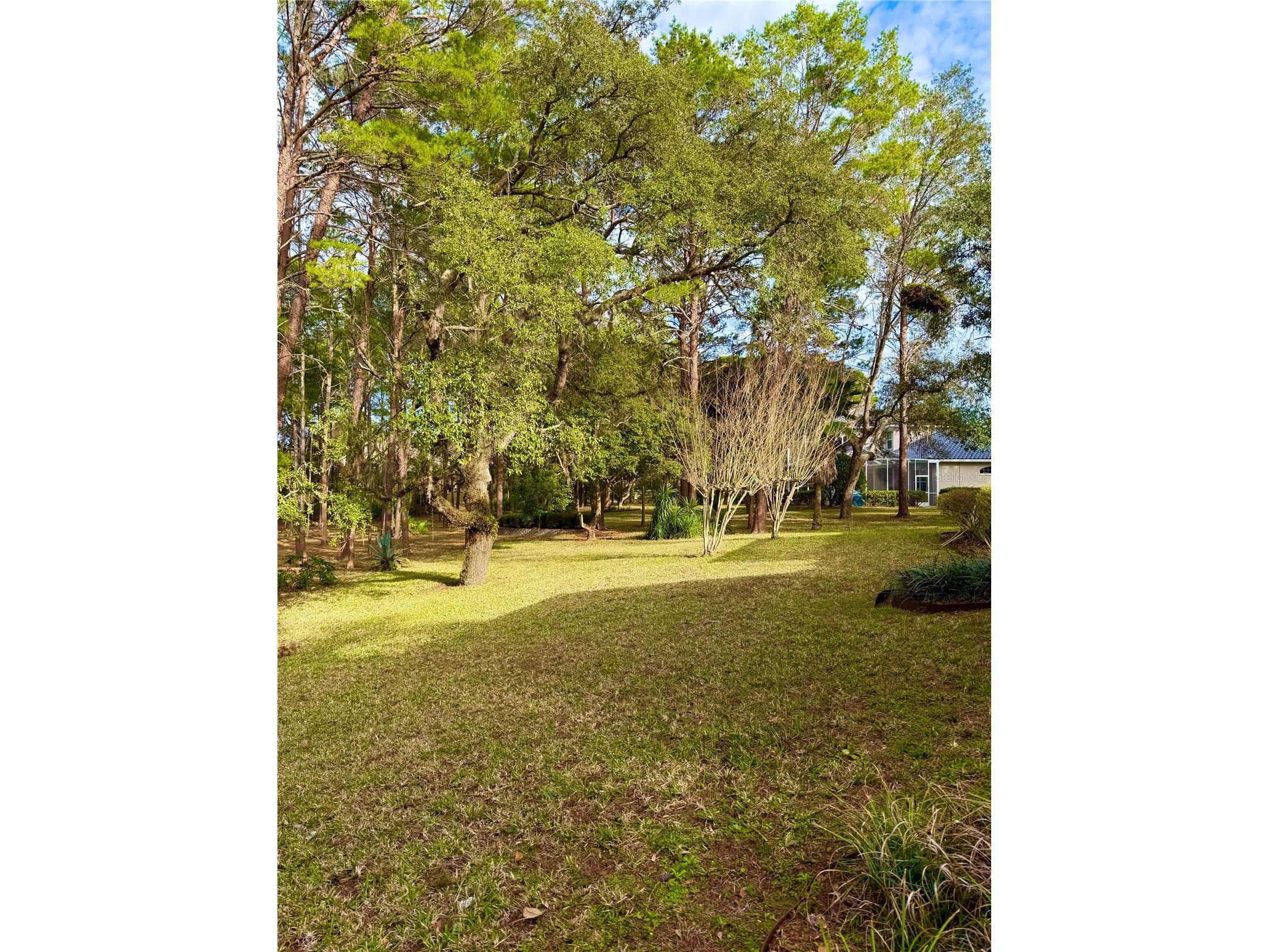 9448 Tooke Shore Drive Weeki Wachee FL 34613 W7882642 image27