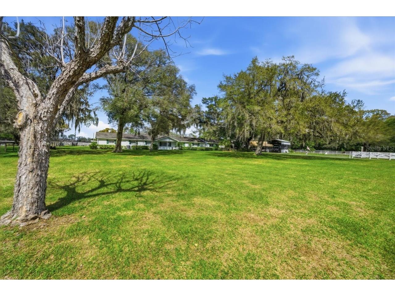9449 Roberts Road Odessa FL 33556 TB8486319 image5