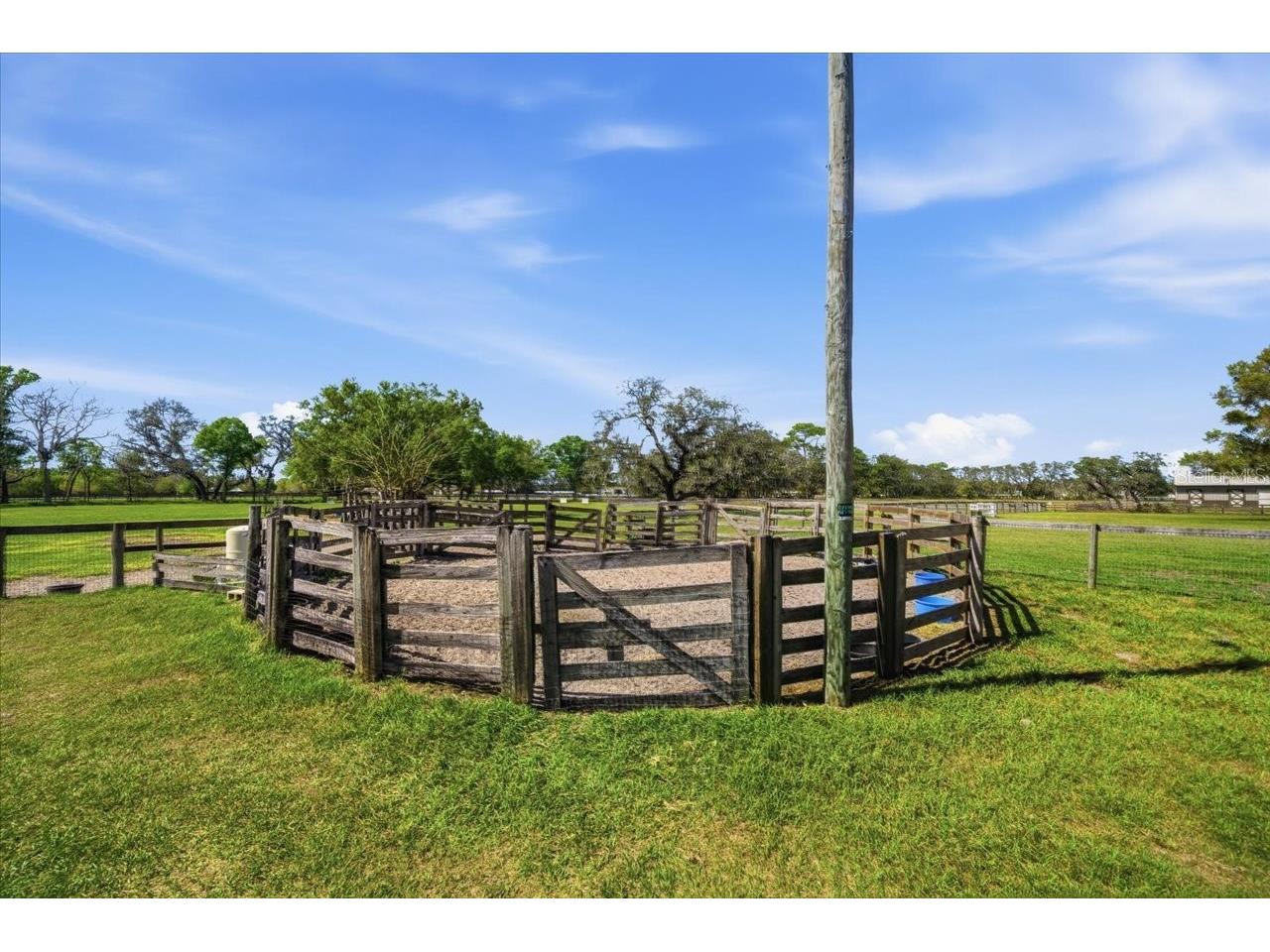 9449 Roberts Road Odessa FL 33556 TB8486319 image56