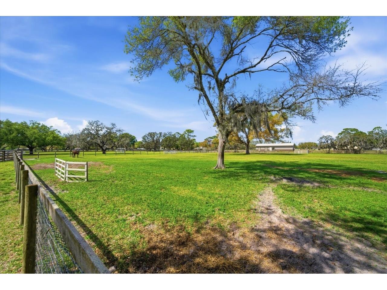 9449 Roberts Road Odessa FL 33556 TB8486319 image59