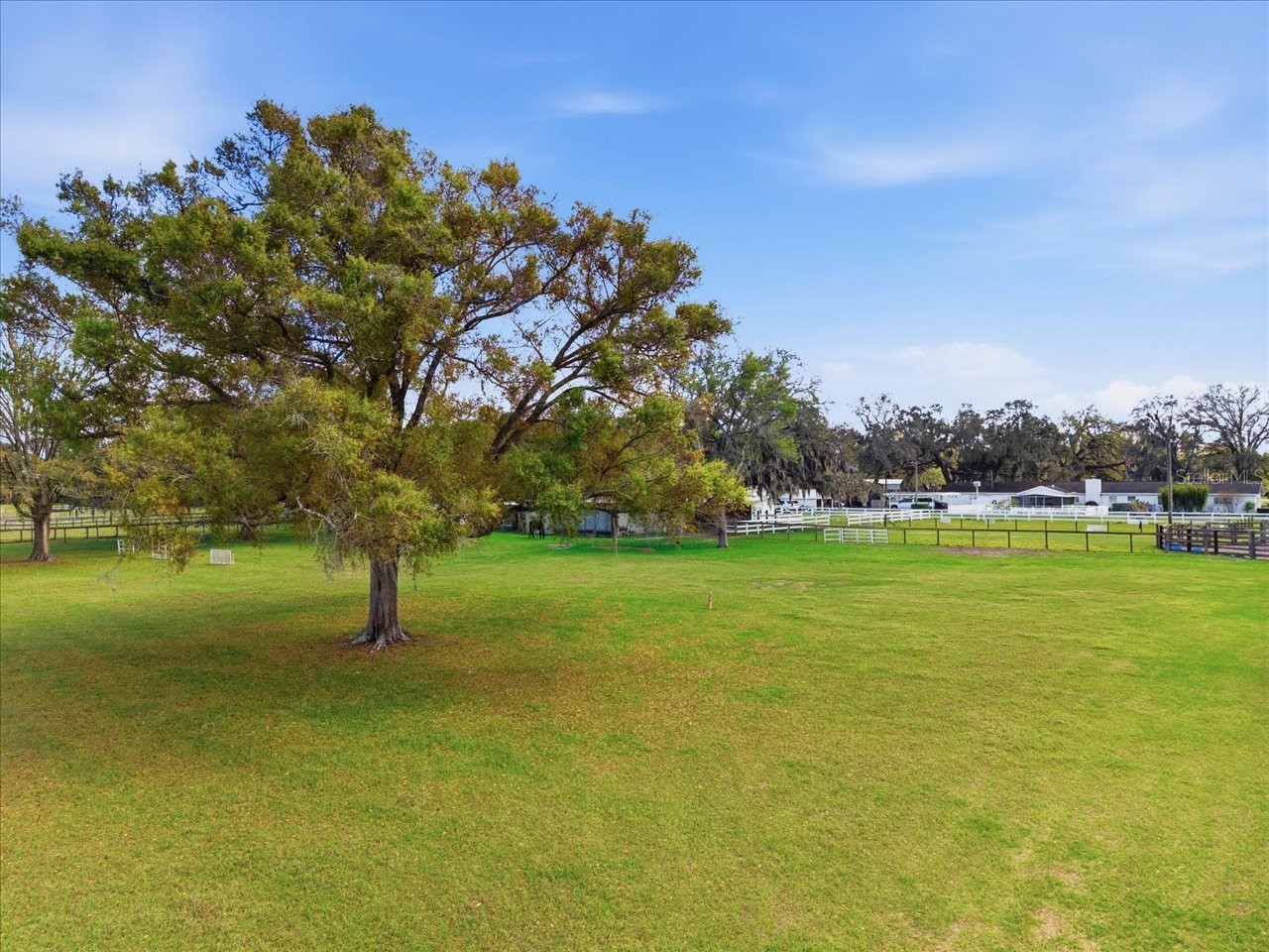 9449 Roberts Road Odessa FL 33556 TB8486319 image65