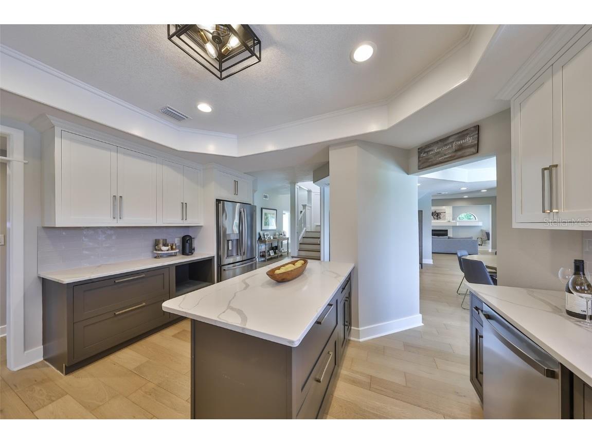 945 Bunker View Drive Apollo Beach FL 33572 TB8380877 image29