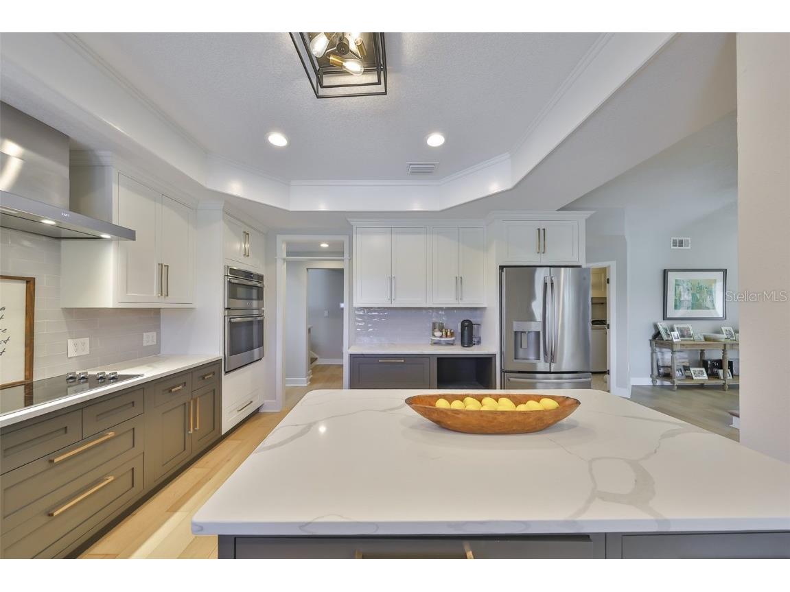 945 Bunker View Drive Apollo Beach FL 33572 TB8380877 image30