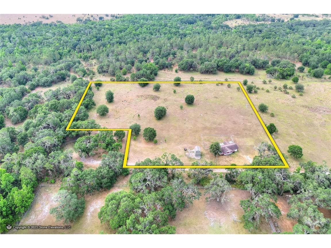 945 Old Welcome Road Lithia FL 33547 T3449838 image1