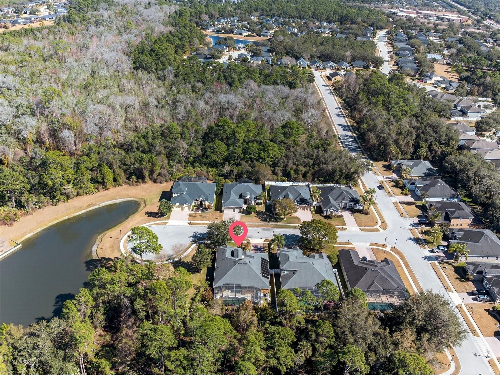 945 Sago Palm Cove Oviedo FL 32766 O6381126 image43