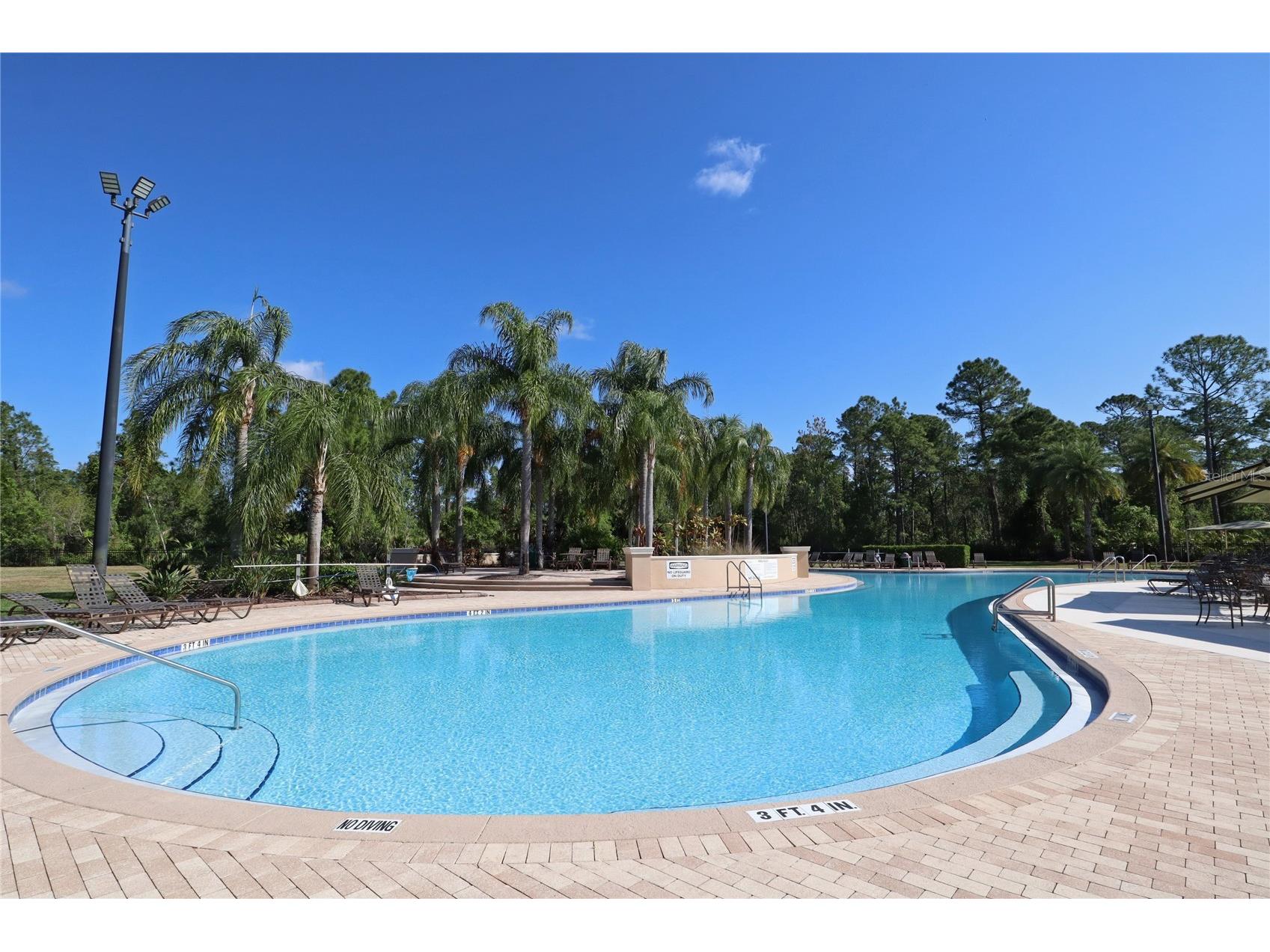 945 Sago Palm Cove Oviedo FL 32766 O6381126 image76