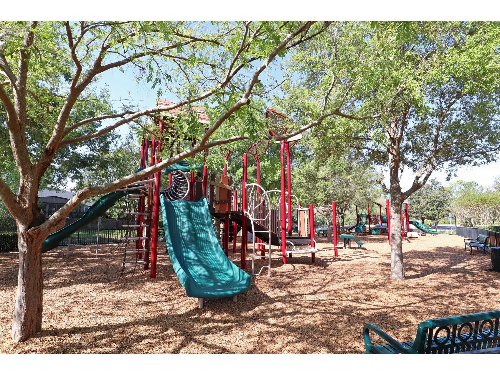 945 Sago Palm Cove Oviedo FL 32766 O6381126 image80