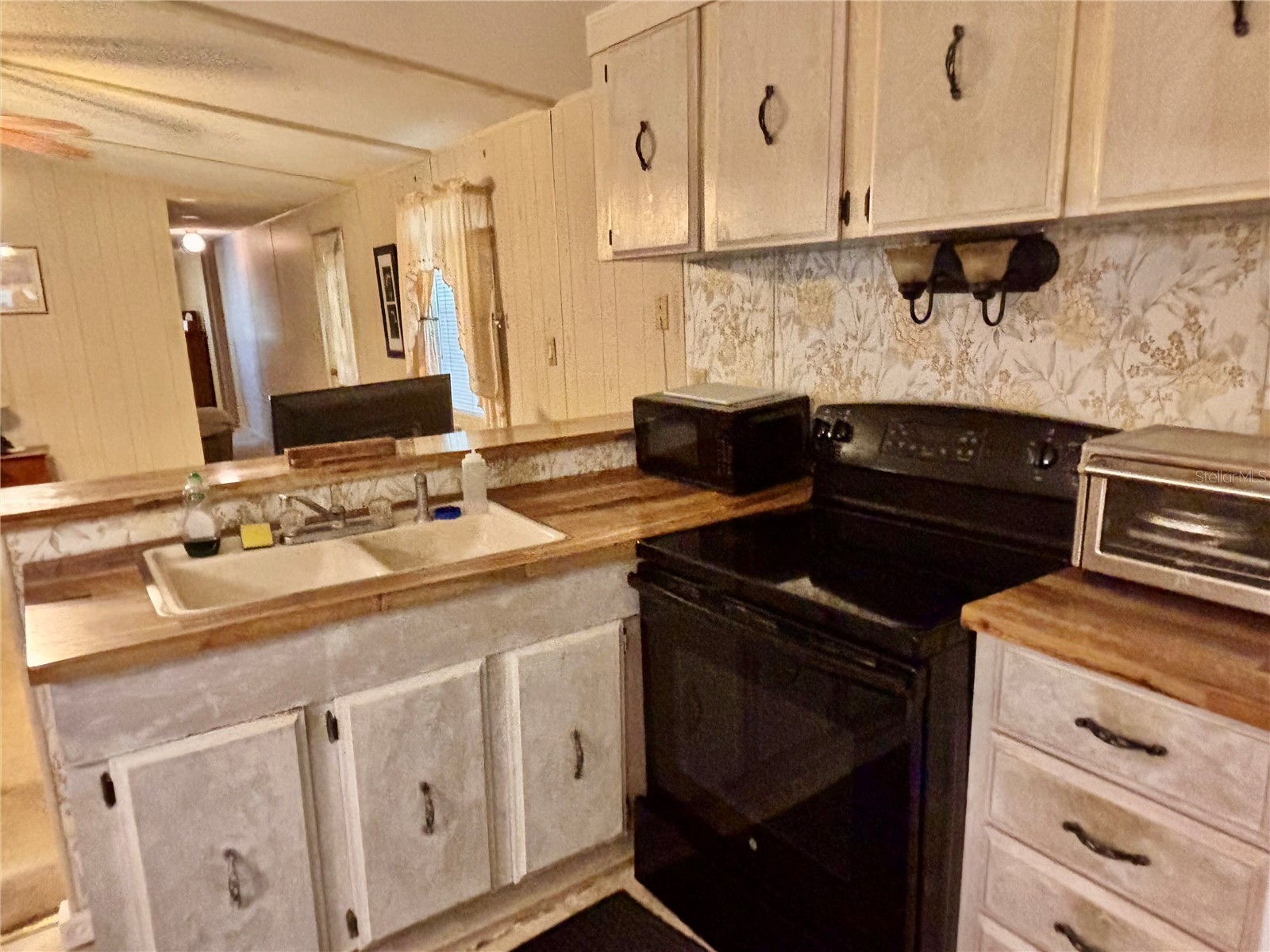945 Tarrson Boulevard Lady Lake FL 32159 G5114705 image8