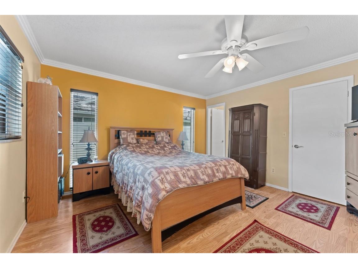 945 Winding Oaks Drive Palm Harbor FL 34683 TB8401318 image19