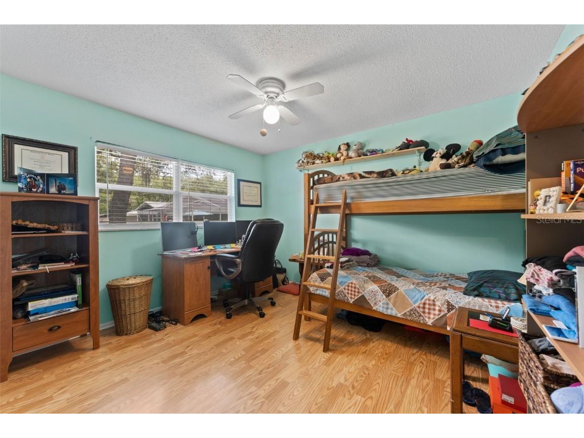 945 Winding Oaks Drive Palm Harbor FL 34683 TB8401318 image22