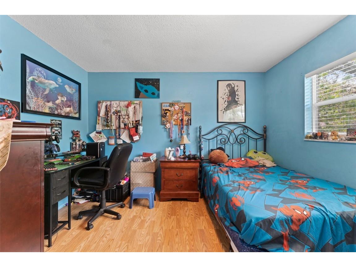 945 Winding Oaks Drive Palm Harbor FL 34683 TB8401318 image23