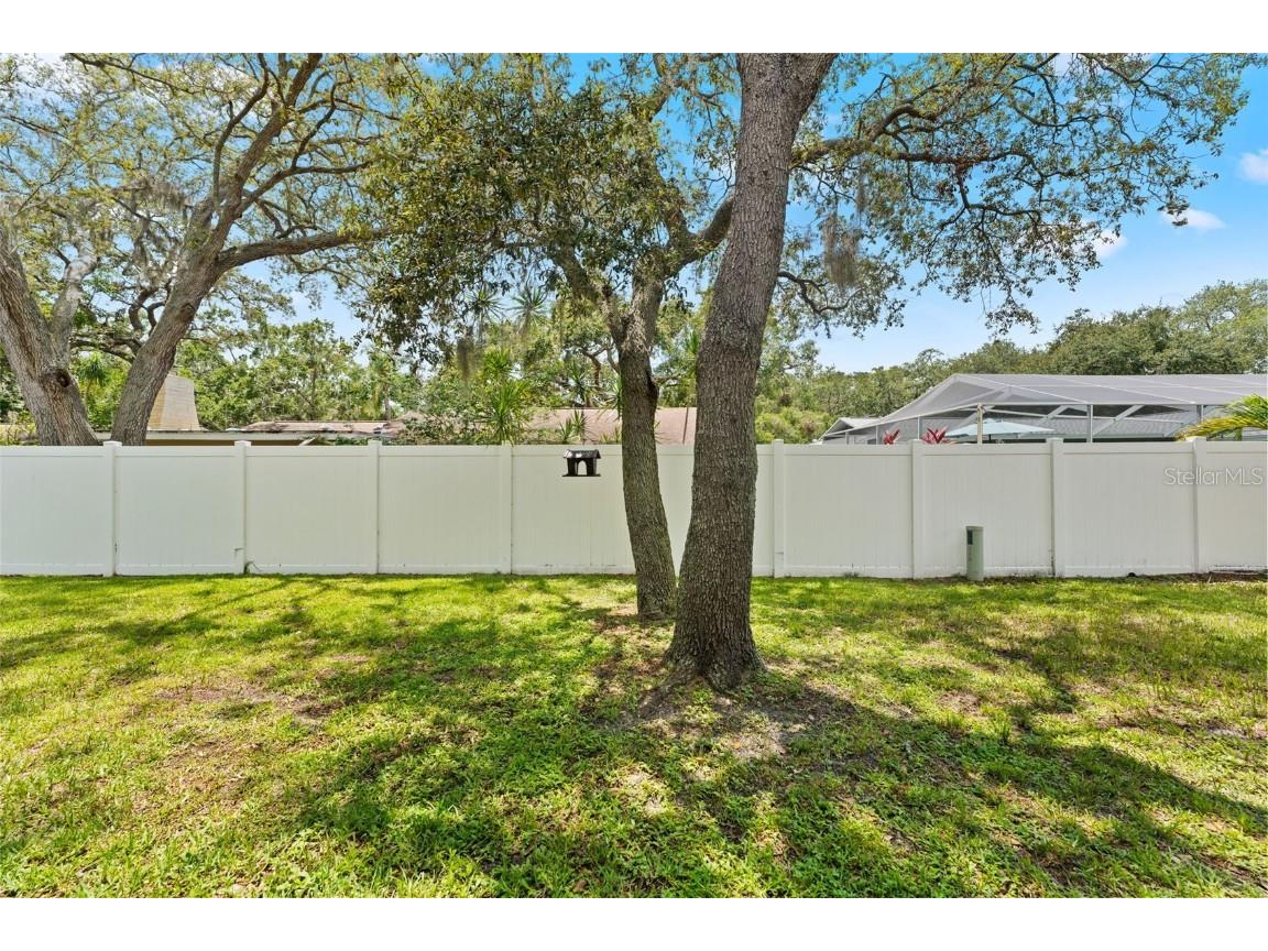 945 Winding Oaks Drive Palm Harbor FL 34683 TB8401318 image31