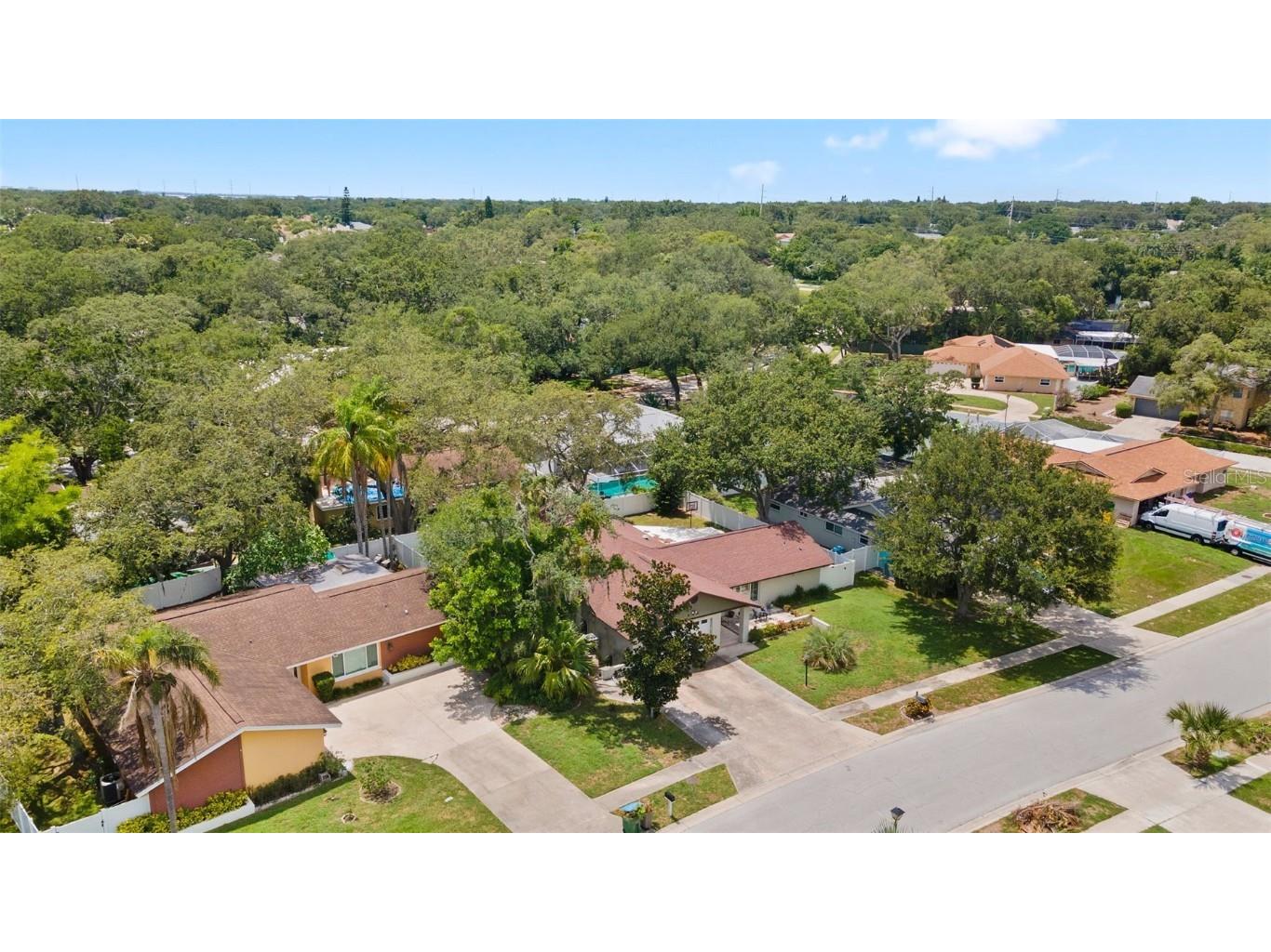 945 Winding Oaks Drive Palm Harbor FL 34683 TB8401318 image32