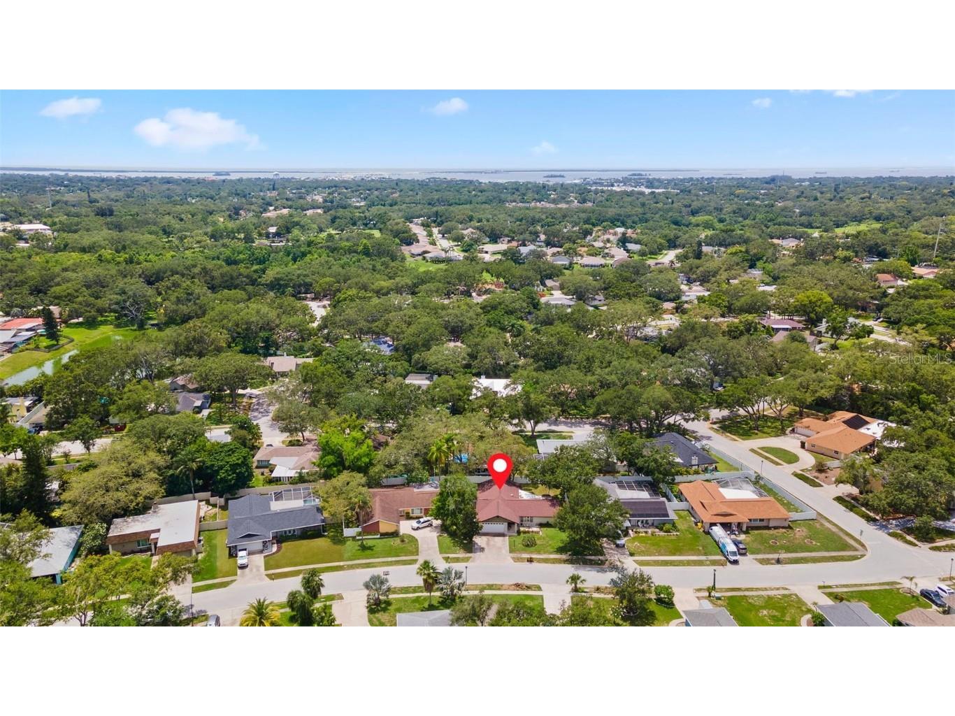 945 Winding Oaks Drive Palm Harbor FL 34683 TB8401318 image34