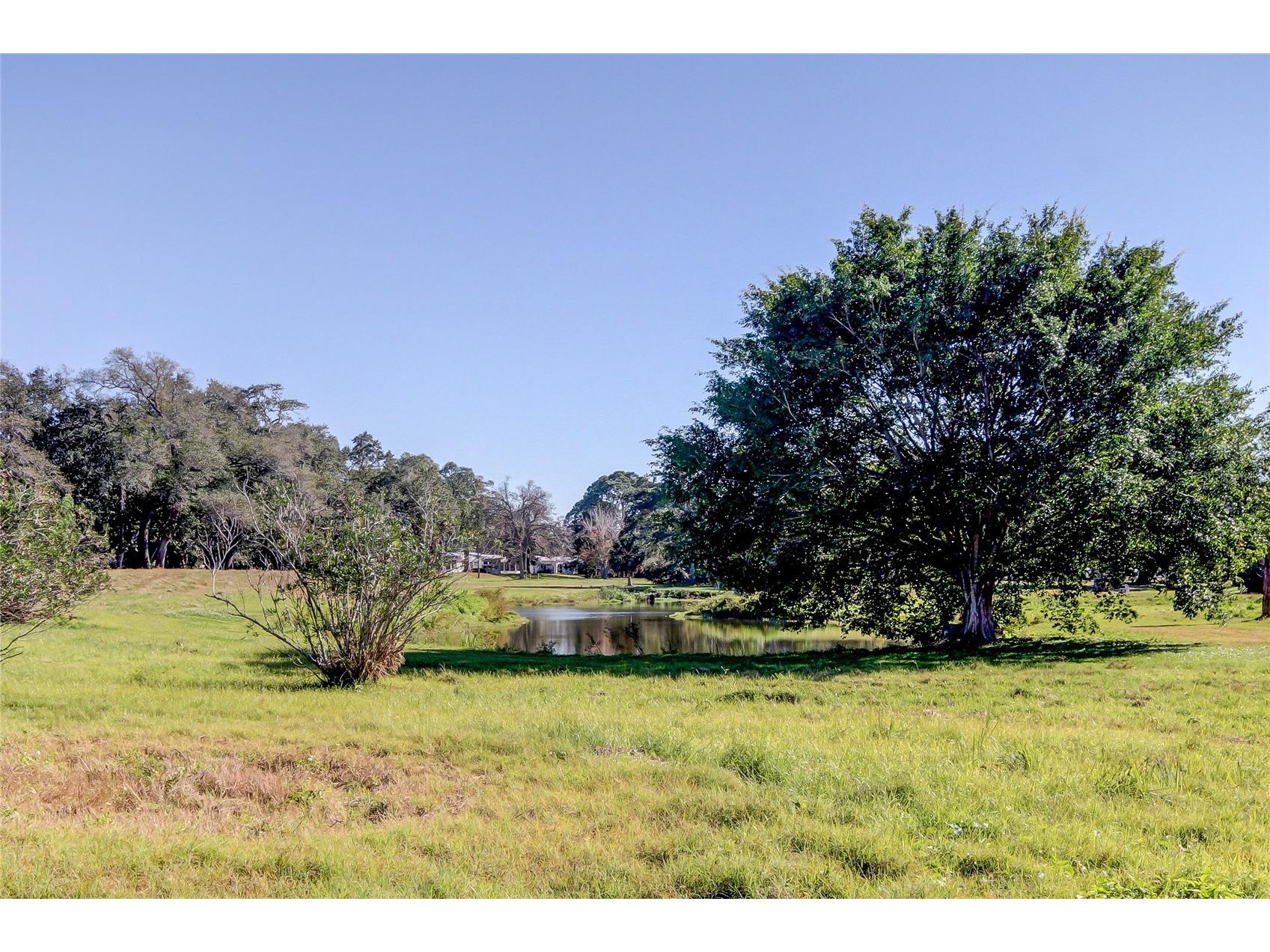 9450 Harbor Greens Way #301 Seminole FL 33776 TB8475171 image59